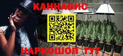 PSILOCYBIN Бугуруслан