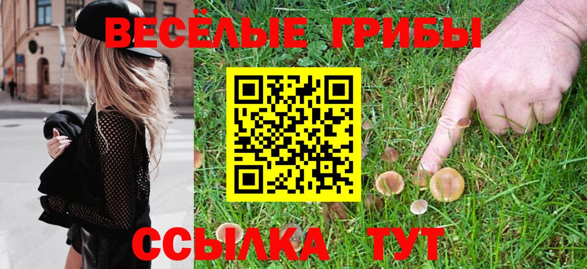 Псилоцибиновые грибы Magic Shrooms  Вход с VPN  Ростов Великий 